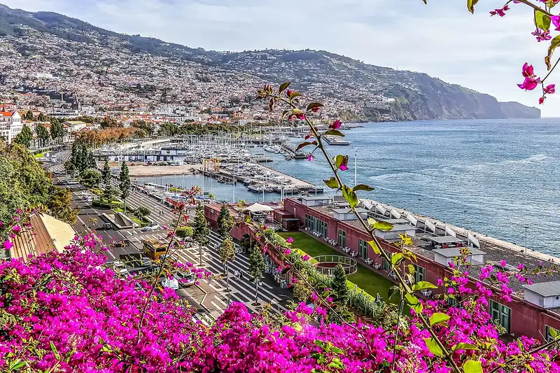 Hafen Funchal, Madeira – Vorschaufoto