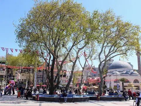 Bandırma Şehir Kameraları