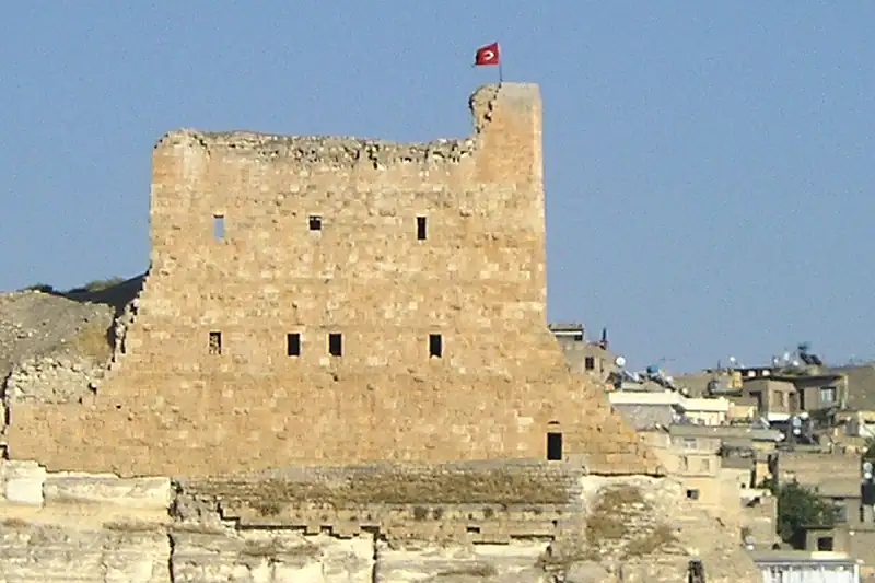 البيرة