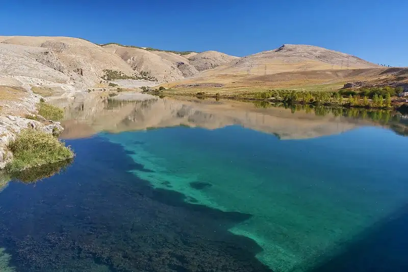بوزوفا