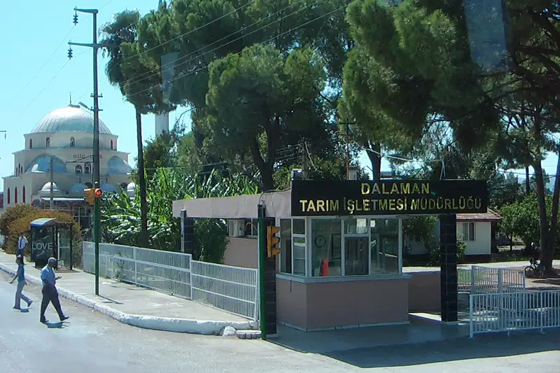 Dalaman