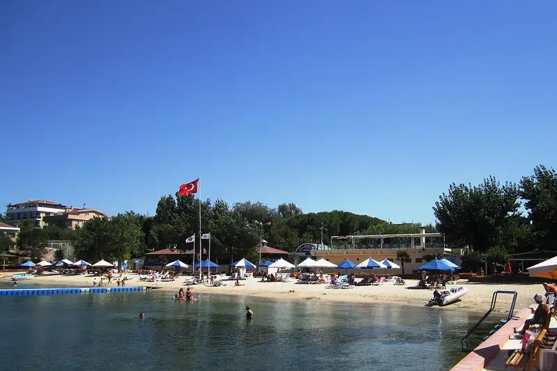 دارجة
