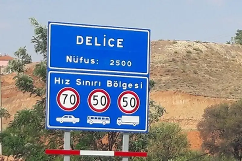 Delice