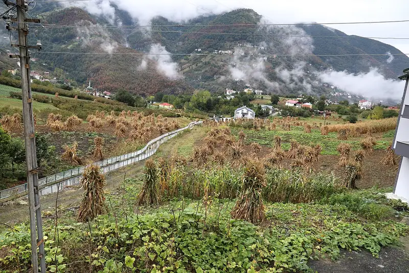 Düzköy