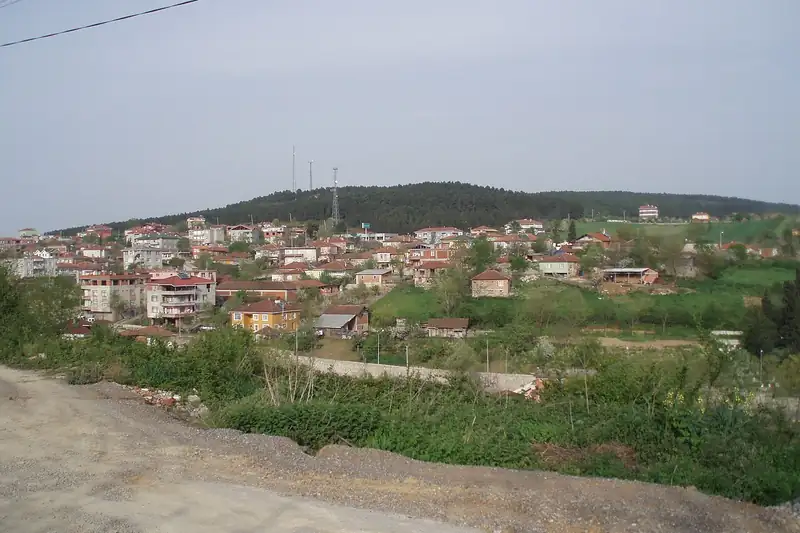 فريزلي