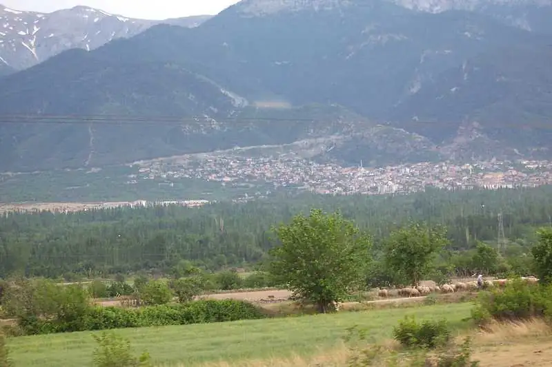 هوناز