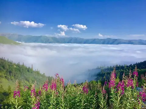 Gölyayla – Yanmışlık