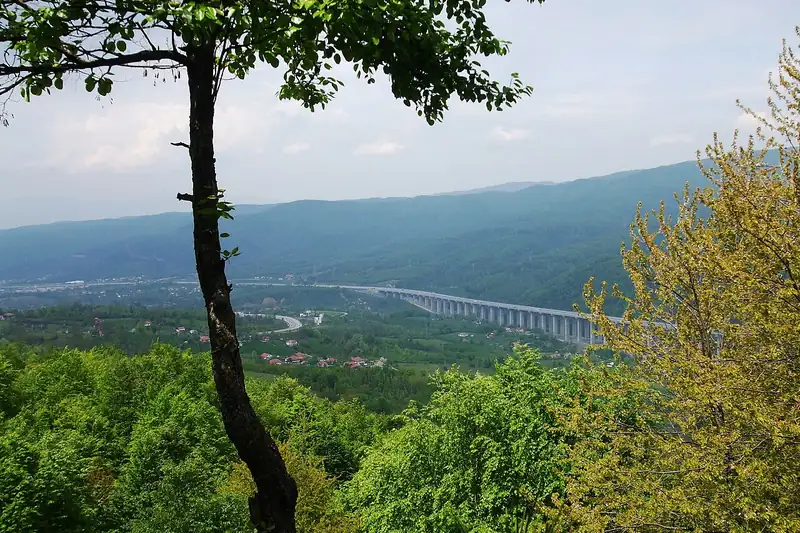 Kaynaşlı