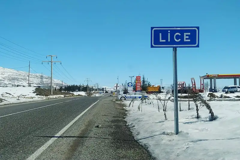 Lice