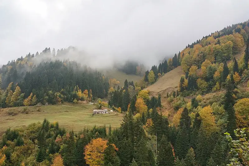 Maçka