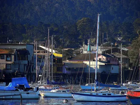 Monterey Bay Akvaryumu – Denizanası Kamerası