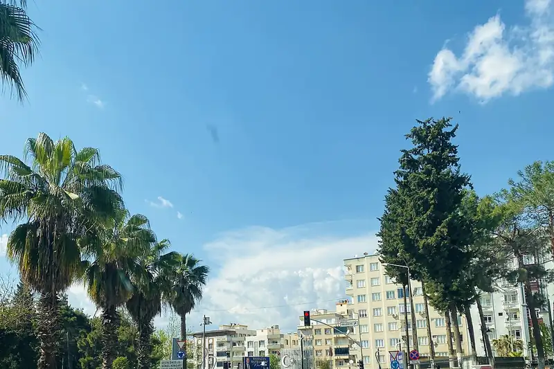 نيزيب