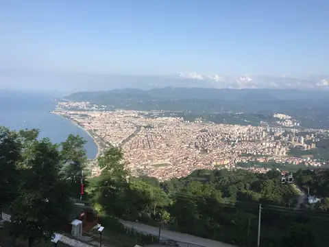 Altınordu Şehir Kameraları