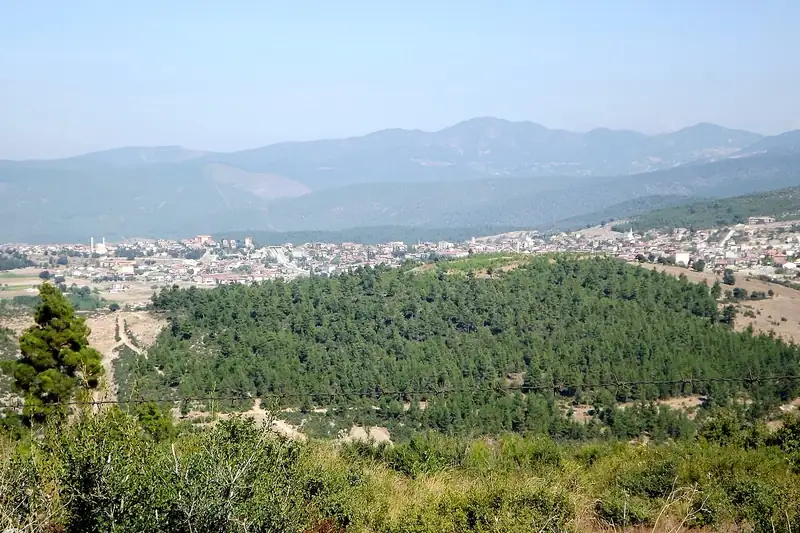 Orhaneli