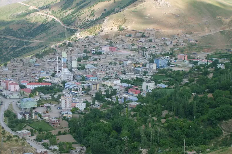 برفاري
