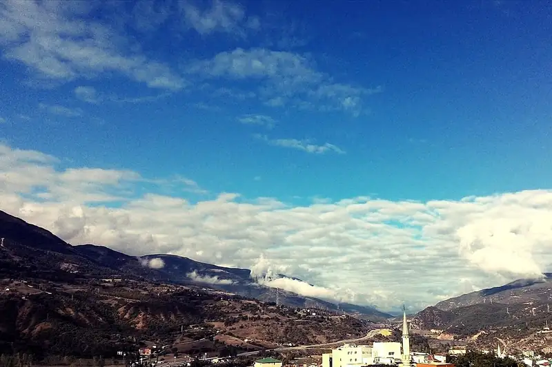 رشادييه