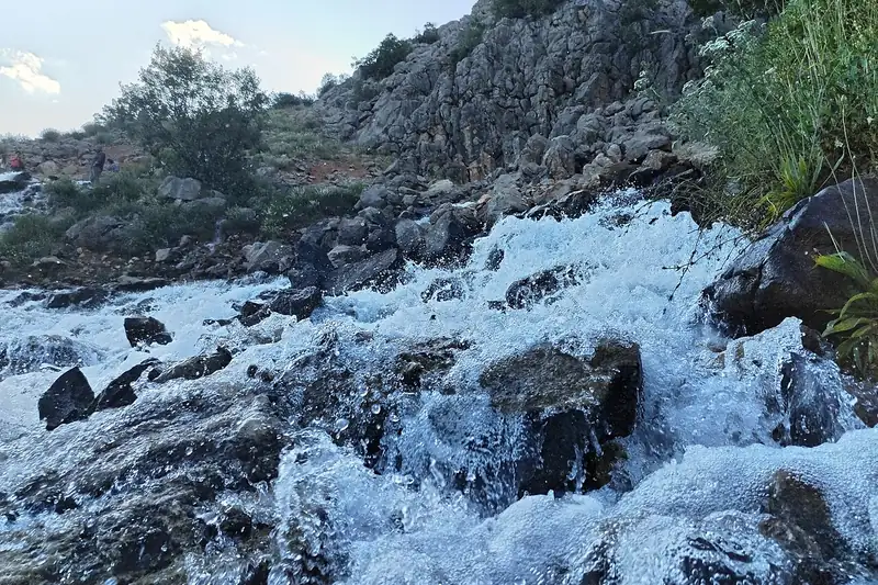 أوفاجيك