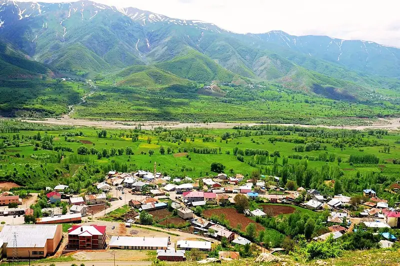 يديسو